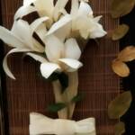 0 02 05 12b660feb7be311633ef046b7fe0810dd81366cdc2397f82c342264ed5420393 76831e08616bd7ad 5c753f48