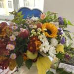 0 02 05 264d73d76d83f6ad240476dd84d224217113e55b5e23b6eaf3f92515d13861bb d6638a8b5dedf762 5391d4fd