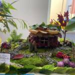 0 02 05 539209d947d6a1234e976d9cfea782e82227af3f3336d4e0a8538589fc52da28 e06b0ff5b692df2d 5187456e