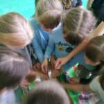 0 02 05 5b7719f8e0cd9df587db0d0ebb24dc4a19e4fed8f3d42ca24247a0f5b4d921a1 78767da854a8e2dd 0ca8caef