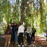 0 02 05 7e52a6de4d2afc9888a9938edd94912e2bc1e073e954a98ec3994facef435b8a dc5c3c43b259978a 67bb3143