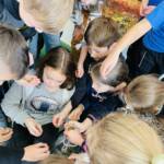 0 02 05 a65dddddbaefc179c2ab67cad64d8d8fb63938e5c5fa2b521663593d5b71c850 e170787eba2a19f2 f4e8196e