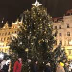 0 02 05 5594f93e462cbce7d6eff95ea834a009bcc215ceeab6587d6a700bc050d9063c 43ab0252b673084f f2d6ae7f