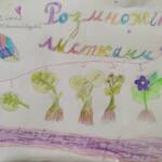 урок ЯПС у 3Б класі 4 0 02 05 5fb12a5e6ac332d0fecd32b682bb0d93d146b927d9a2a60f8a0ebc28f1f634a5 5db0fe6f7fcf328a 5a265f4b