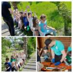 0 02 05 6dff4ff9ccd84b9c9b3bcf1638346d39e8558f1e2bc33ca8da9e00b474afcde4 461df7b6071760a8