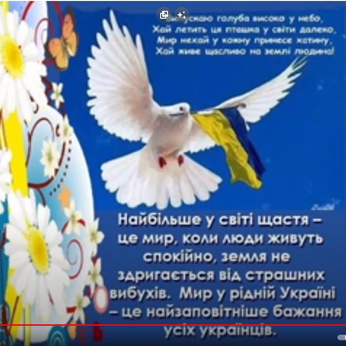 «Ми за мирне небо» 1 unnamed file 7