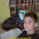 4 жовтня — Всесвітній день захисту тварин 2 unnamed file 5