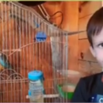 4 ЖОВТНЯ – ВСЕСВІТНІЙ ДЕНЬ ЗАХИСТУ ТВАРИН 27 unnamed file 7