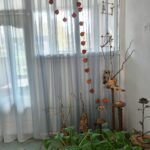 Осіння виставка творчих робіт 3 u10 0 02 05 9d2eb899ba562cb9cf9ed940ea36205b1564013c29c683b1f66aa320667c1c04 1418a3e874993312