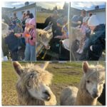 u10 0 02 05 44309e6b33f98d6fcbd82ac4c9663f96572b64820e90e1d76e1234d41f3adf8f e4cdde817f34edb4