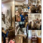 u10 0 02 05 ee091f845068341d1f094b4227ba7d8ed255743adb80f1011ea8f079c8e4243e c3c8de640a56f5cf