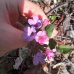 0 02 05 6356bc51c89292809306a796f2c93cf3795d49c58030a82dee7ec418d31b20f4 233ed1b5f257a0b7