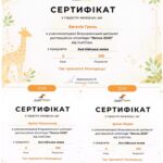 0 02 05 2d40d374d937ceb770cae9059c48756049be948806dcee1988d4f530848cc460 927ece9826ad52a3